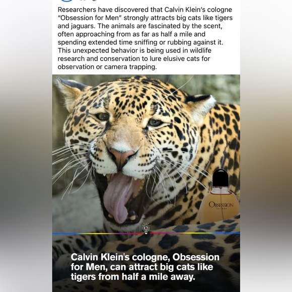 Calvin Klein Obsession for Men Eau de Toilette - very good buy!! - Picture 2 of 4